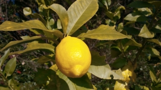 Thumbnail of post image 054